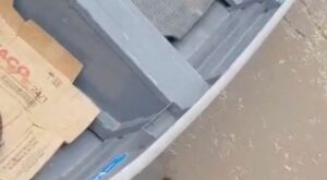 Corpo de homem é encontrado desfigurado em igarapé de Manacapuru