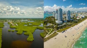 Muito além de Miami: desafios econômicos no Norte da Flórida