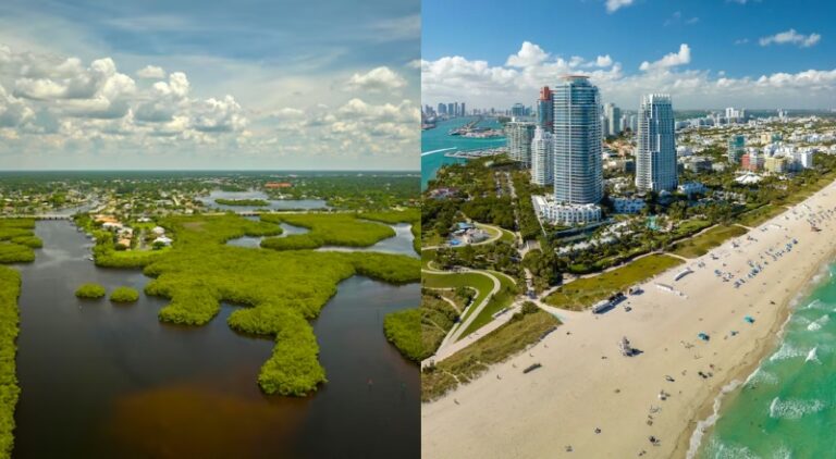 Muito além de Miami: desafios econômicos no Norte da Flórida