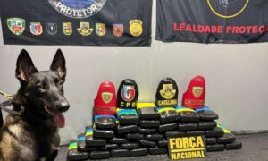 Bases fluviais apreendem 218 quilos de drogas no Rio Solimões