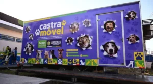 Manaus promove maior ação de castração animal neste domingo.