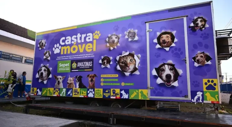 Manaus promove maior ação de castração animal neste domingo.