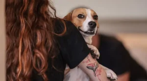 Governo Federal sanciona lei que regula guarda compartilhada de pets