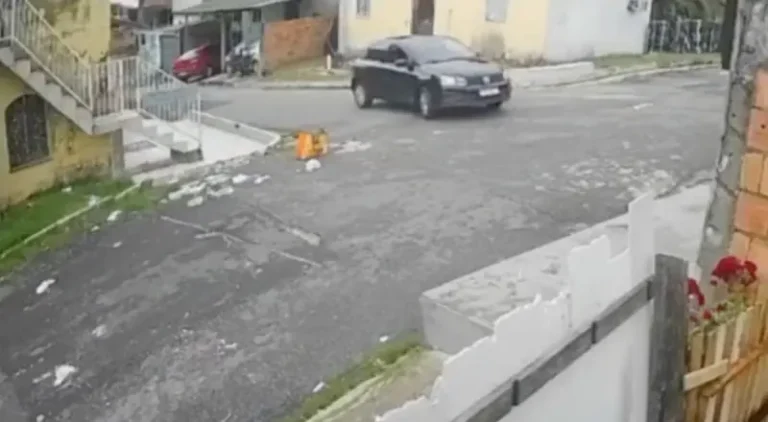 Vídeo de atropelamento de cachorro causa indignação em Manaus