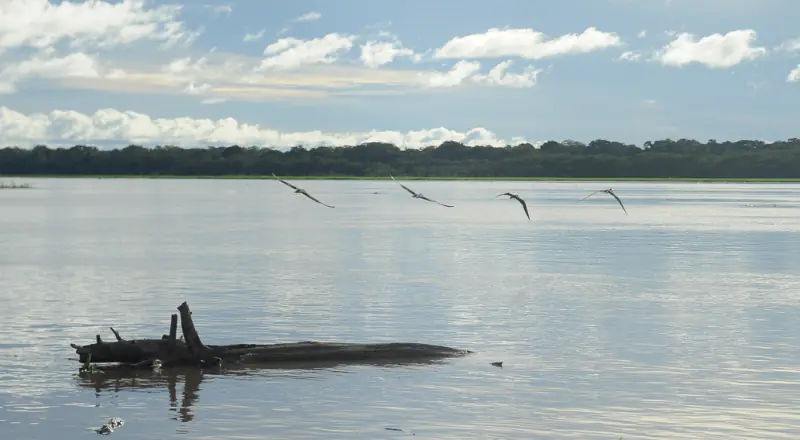 MP do Amazonas fiscaliza ações preventivas no período de cheia