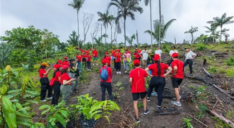 Ação do Grupo Atem no Puraquequara promove bioeconomia sustentável