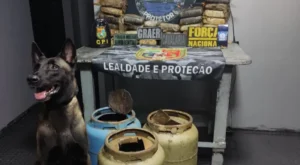 Cão farejador encontra mais de 30kg de drogas em botijão de gás