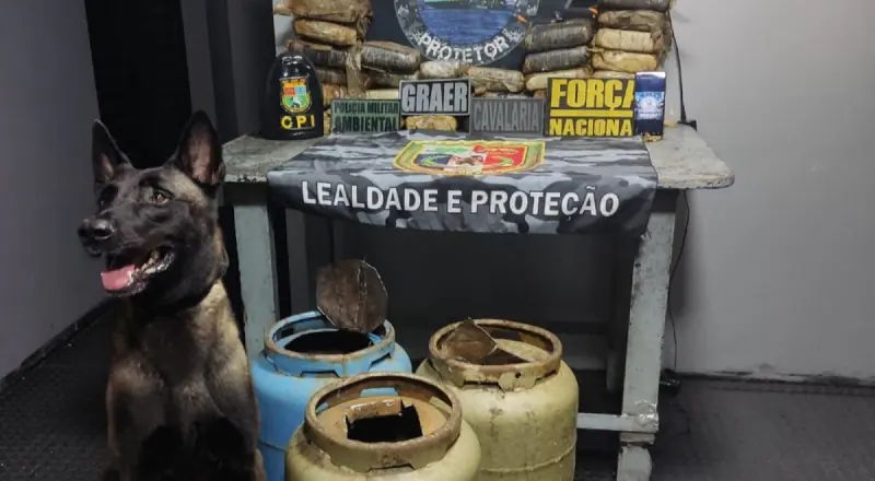 Cão farejador encontra mais de 30kg de drogas em botijão de gás