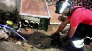 Sucuri gigante é encontrada em frente a casa e assusta moradores