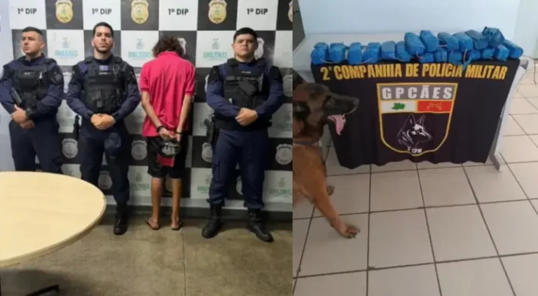 Prejuízo ao tráfico: polícia apreende cocaína no valor de R$ 500 mil