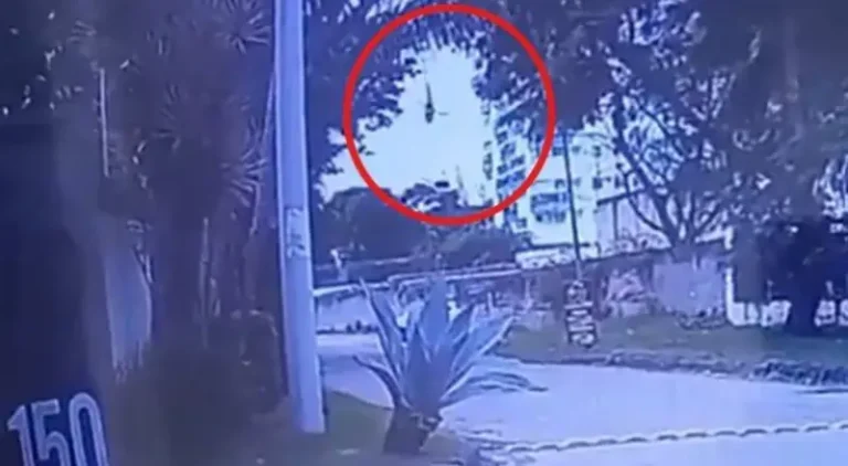 Novas imagens mostram momento em que helicóptero despenca em vídeo