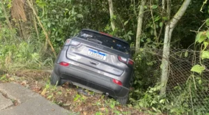 Carro invade área de mata após motorista perder controle na Dom Pedro