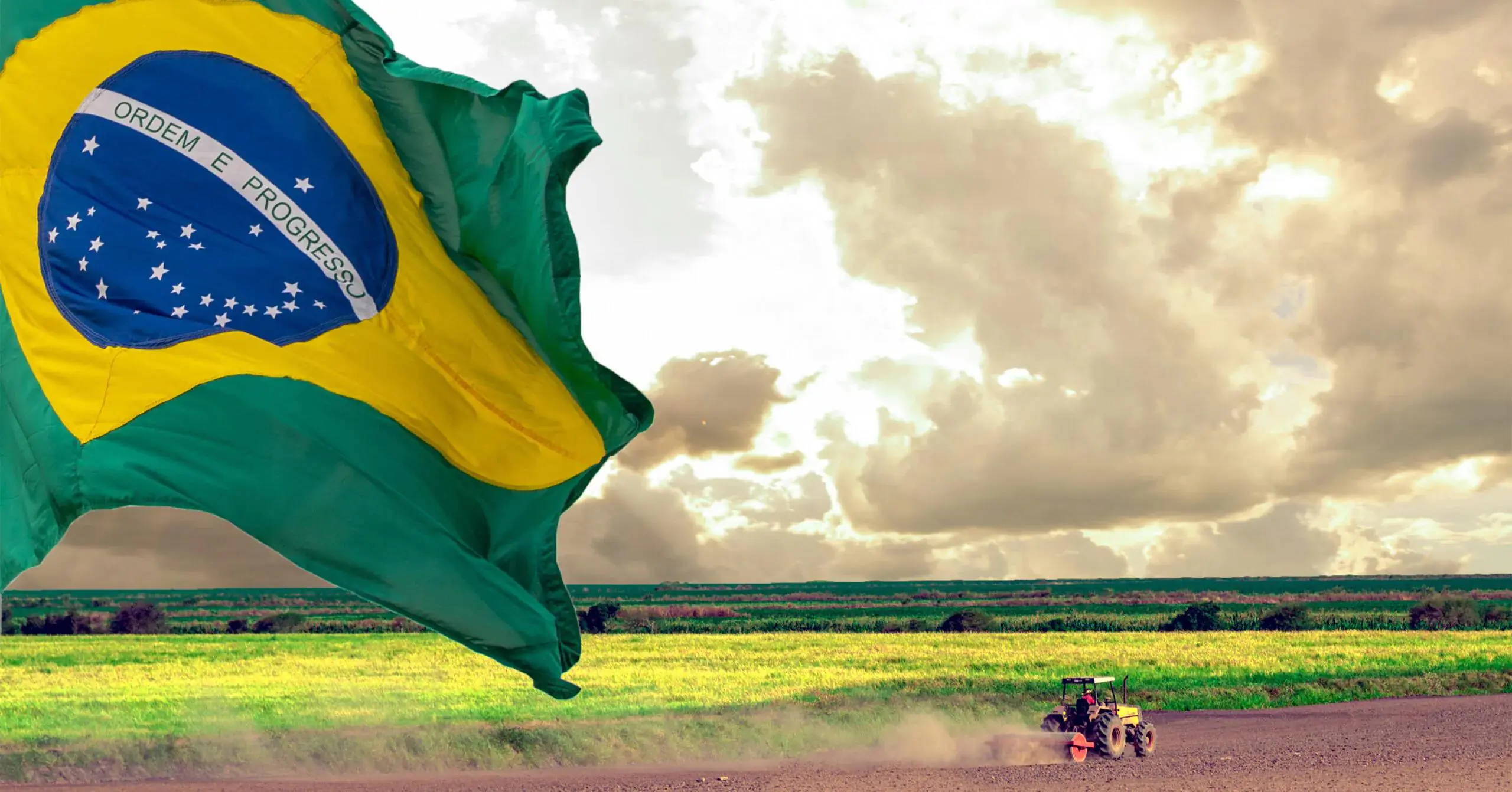 Agronegócio em alta: Brasil cresce nas exportações agrícolas
