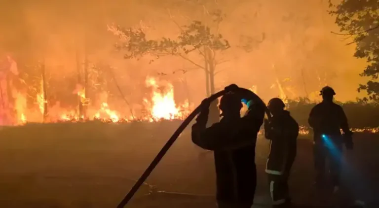 Europa em alerta: incêndios florestais ameaçam a segurança
