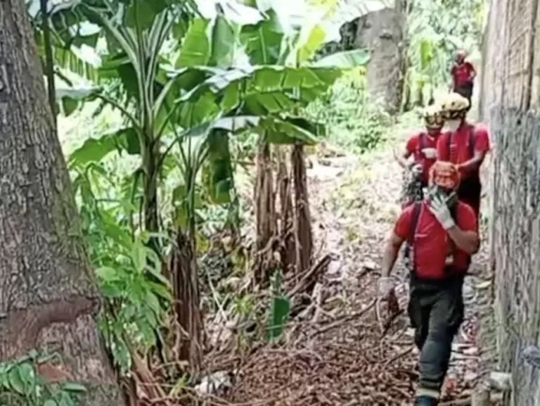 Homem ainda não identificado é encontrado m0rto em igarapé de Manaus