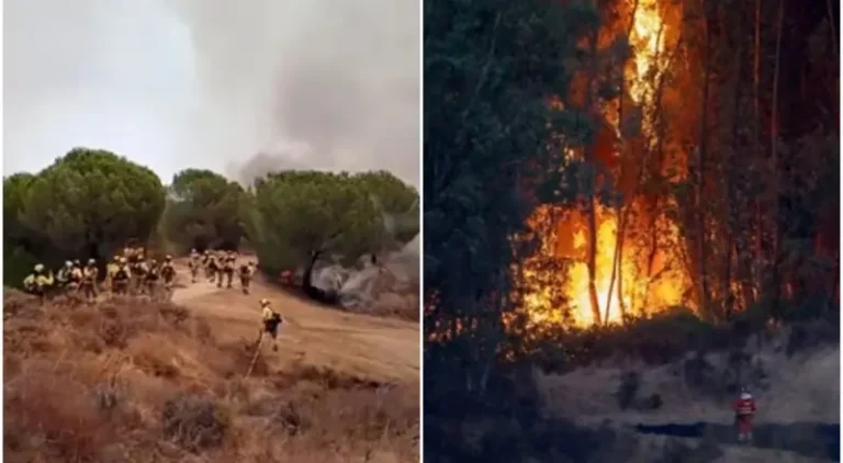 Incêndio florestal atinge 4 mil hectares e gera alerta na Espanha