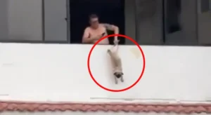 Ex-jogador é preso após pendurar cachorro em janela de apartamento