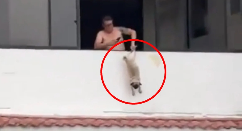 Ex-jogador é preso após pendurar cachorro em janela de apartamento