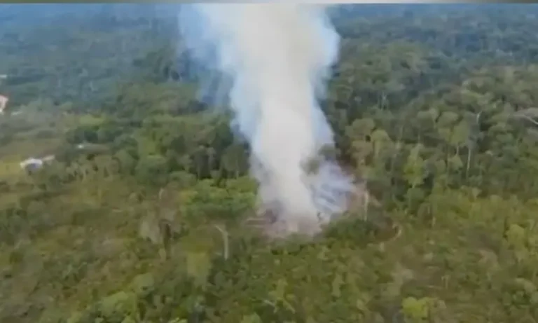Homem é preso após ser flagrado ateando fogo em vegetação
