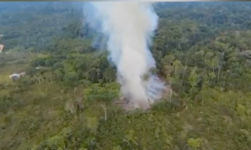 Homem é preso após ser flagrado ateando fogo em vegetação