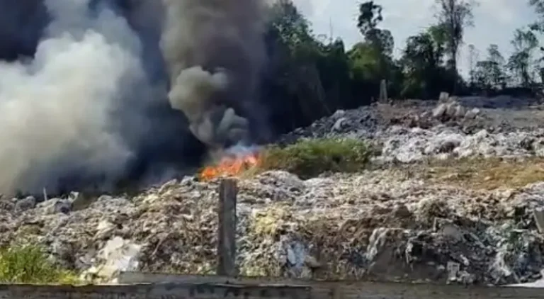 Incêndio de grandes proporções em área de vegetação em Manaus